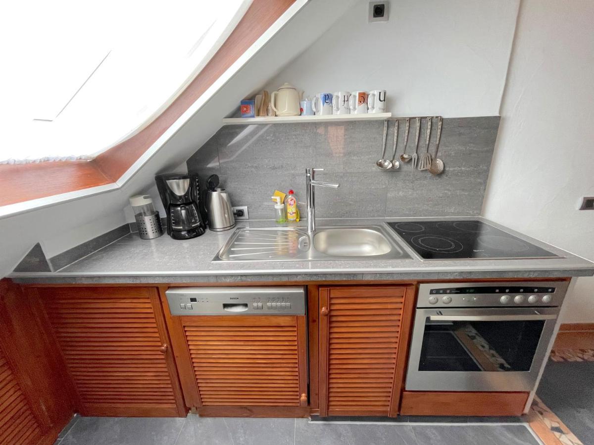 Geraeumiges Maisonette Apartment Todtmoos Eksteriør bilde